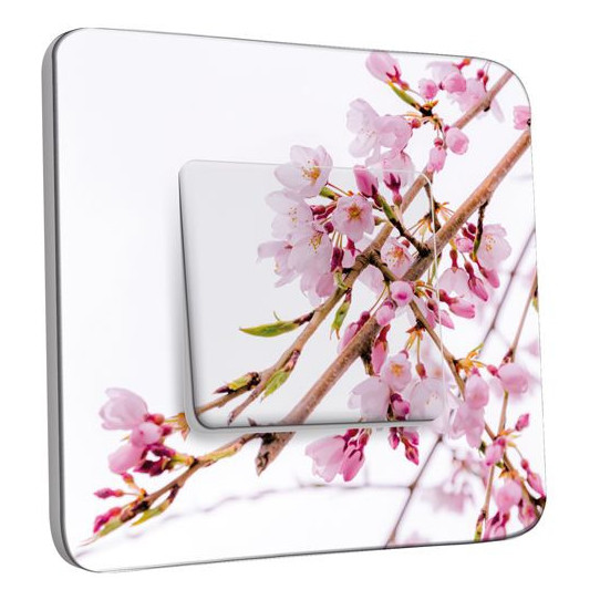 Autocollants Interrupteur Fleurs Et Plantes - Lot De 5, PVC, Déco Murale Pour Cuisine, Salon, Chambre