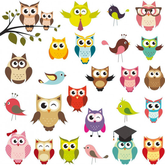 Autocollant Stickers enfant kit 19 hiboux 6 oiseaux