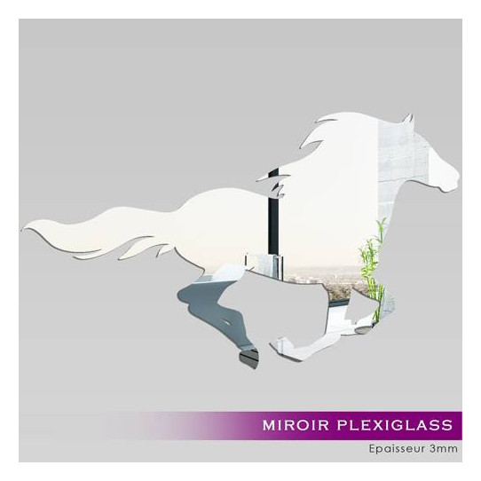 Miroir Acrylique Plexiglass Cheval