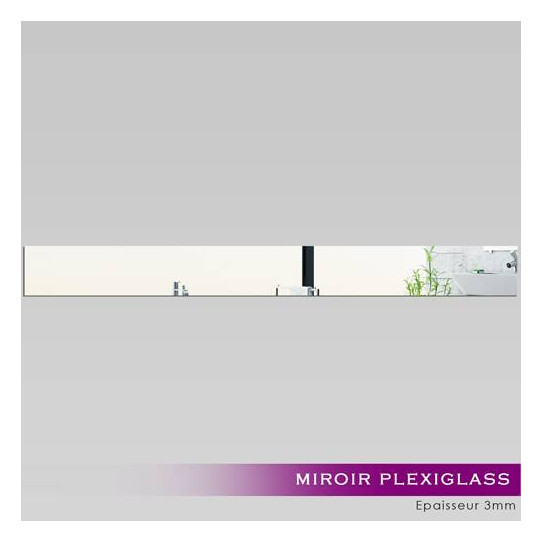 Miroir Acrylique Plexiglass Rectange Horizontale 1