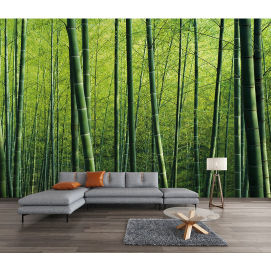 Papier peint forêt bambous