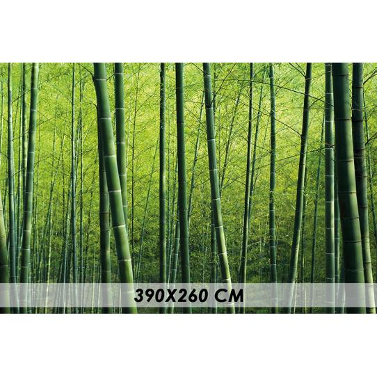 Papier peint forêt bambous