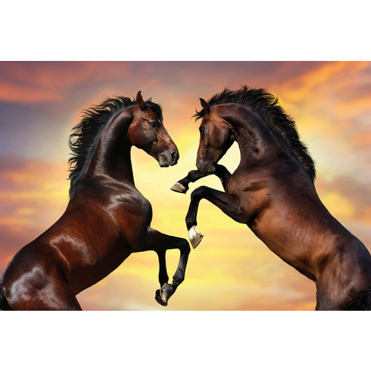 Poster - Affiche chevaux