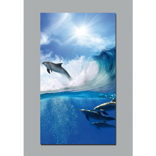 Poster dauphins