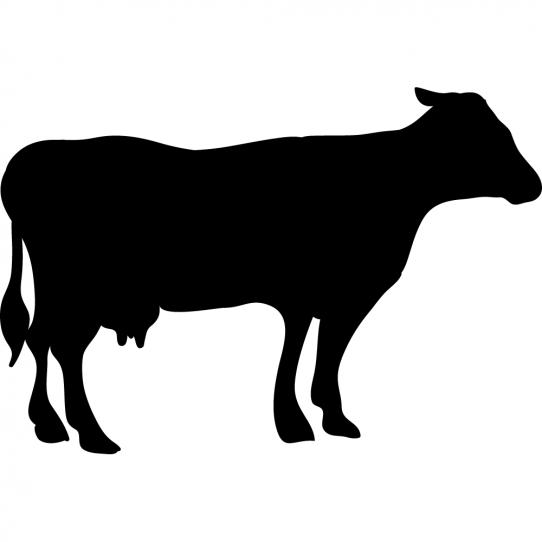 Stickers ardoise vache