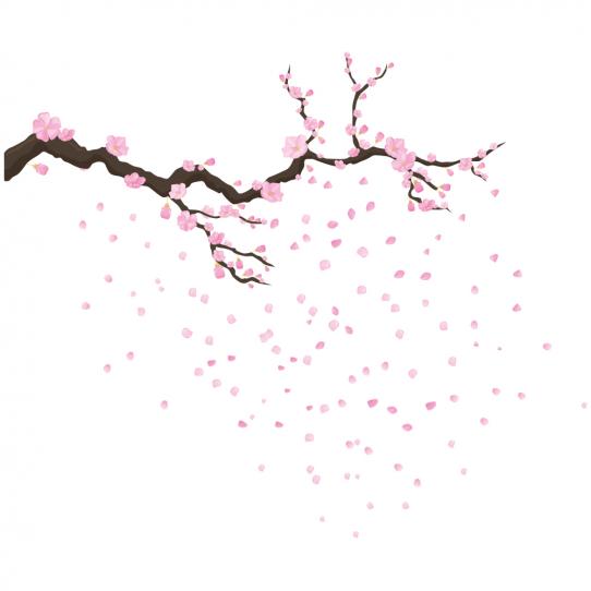 Stickers branche de cerisier sakura