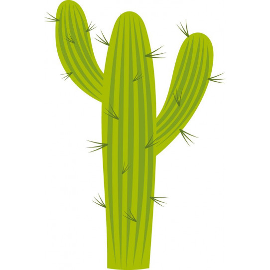 Autocollant Stickers enfant cactus