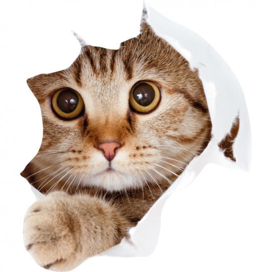stickers adhésif wc chat