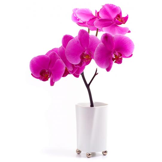 Stickers Fleur Pot Orchidée