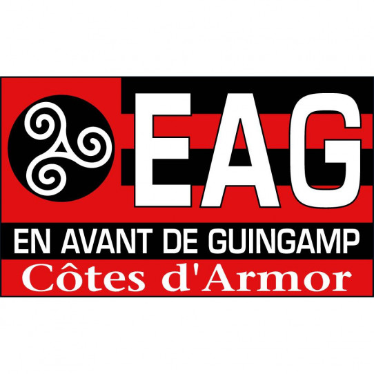 [J23] EA Guingamp 3-1 Valenciennes - Page 3 Ar-stickers-foot-ea-guingamp-17143