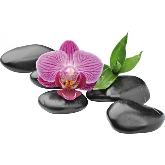 Stickers muraux galets orchidée