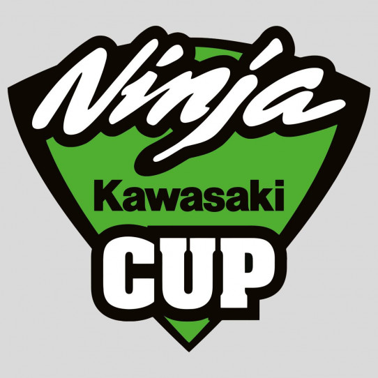 Stickers kawasaki ninja cup