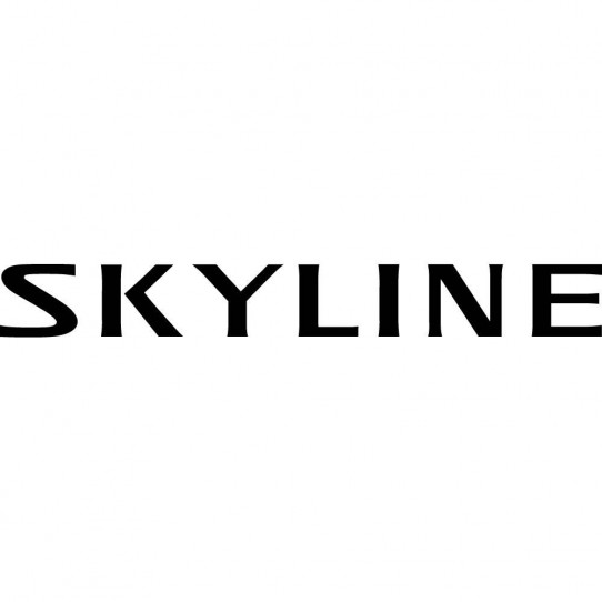 Stickers nissan skyline