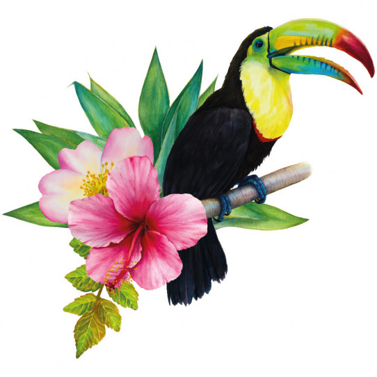 Stickers oiseau toucan