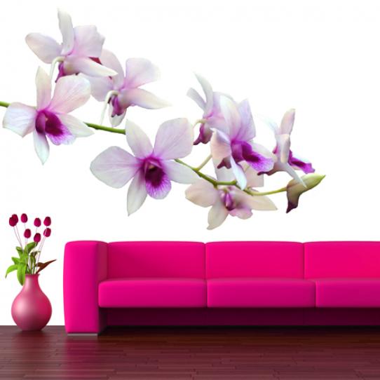 Stickers Fleur Orchidée
