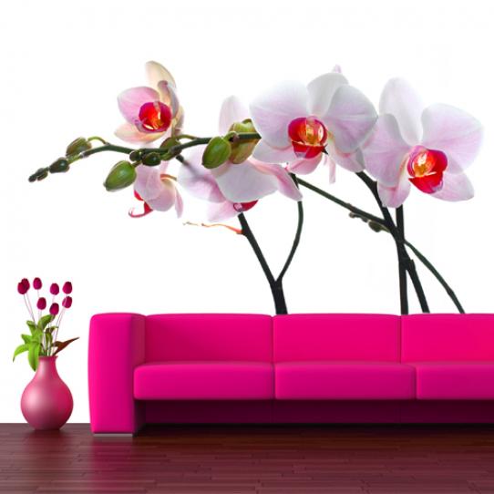 Stickers Fleur Orchidée
