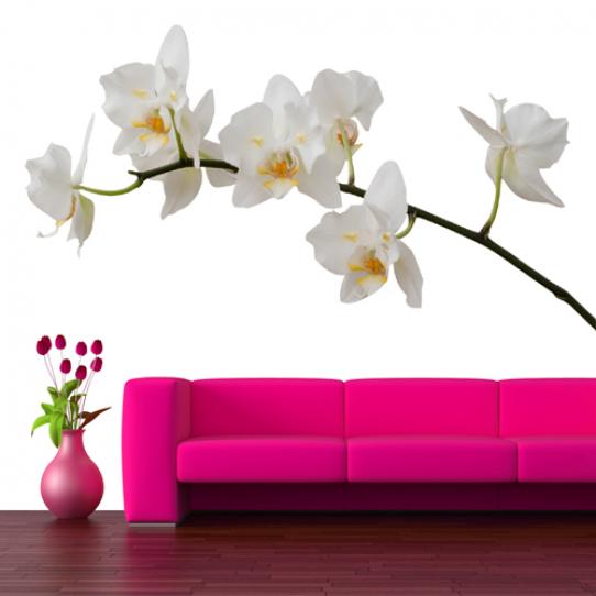 Stickers Fleur Orchidée