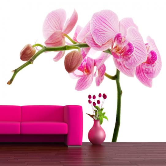 Stickers Fleur Orchidée