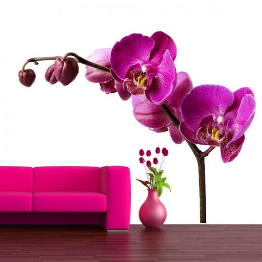 Stickers Fleur Orchidée