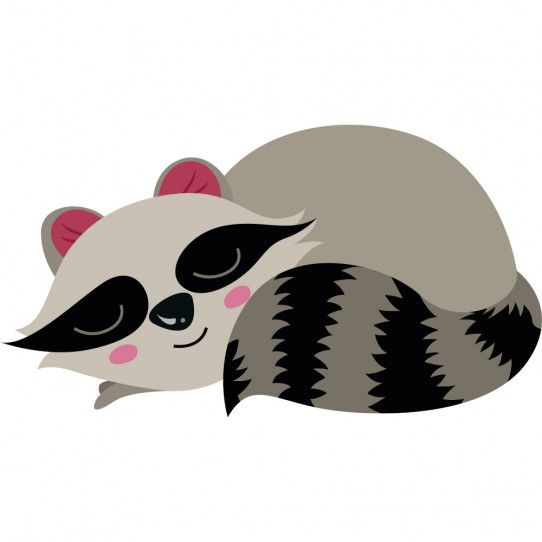 Stickers raton laveur