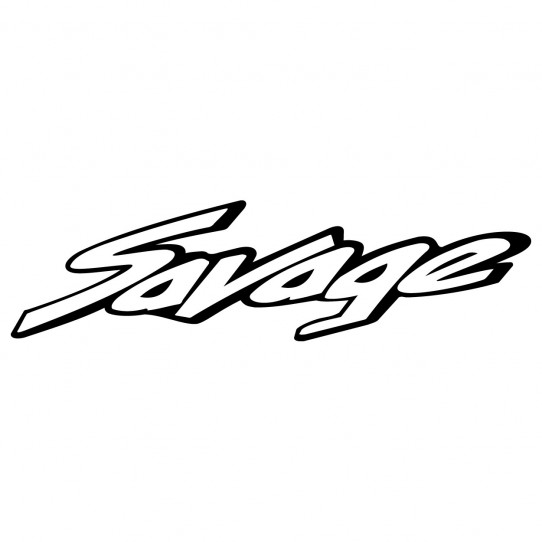 Stickers suzuki ls 650 savage