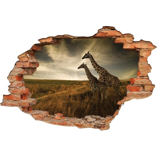 Stickers Trompe l'oeil 3D