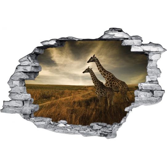 Stickers Trompe l'oeil 3D