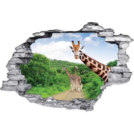 Stickers Trompe l'oeil 3D