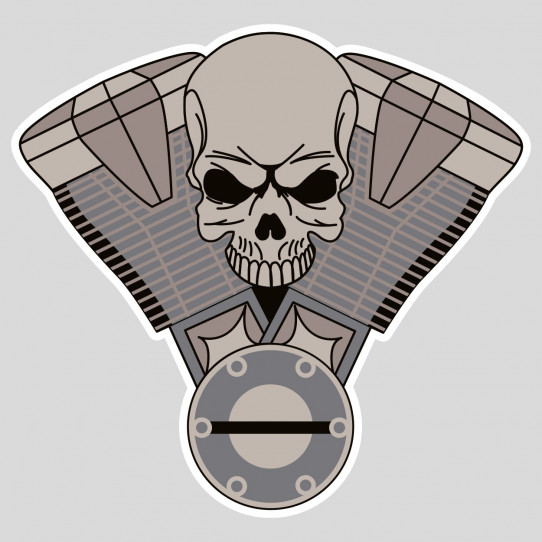 Stickers v twin motor