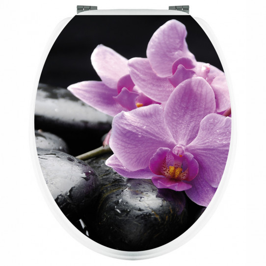 Stickers Orchidée sur Galets