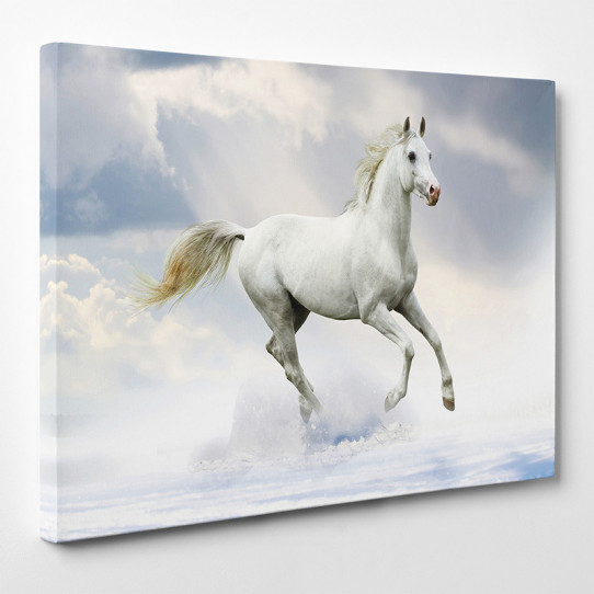 Tableau Sur Toile Cheval - Dimensions 50x70 Cm - Neuf Sous Rouleau - Déco Animalière