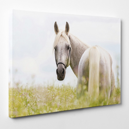 Tableau Toile Déco Cheval 50x70 Cm - Impression Artistique Animalière - NEUF