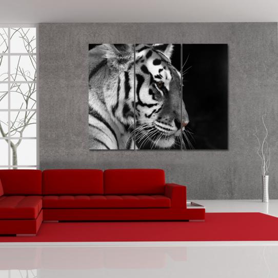 Triptyque Forex Tigre