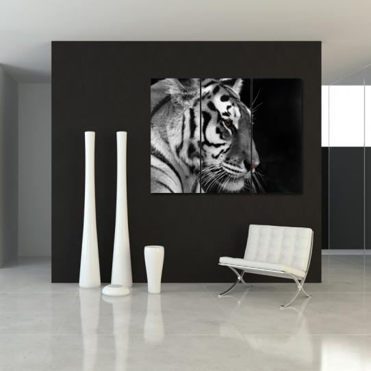 Triptyque Forex Tigre