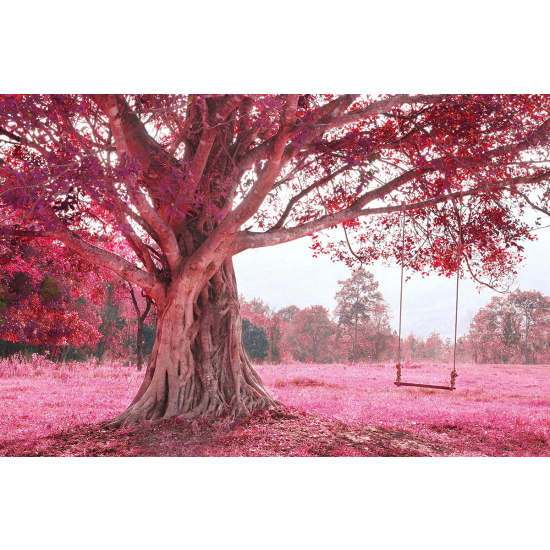 Papier peint panoramique - Arbre feuilles rouges