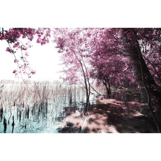 Papier peint panoramique - Arbre Fleurs roses