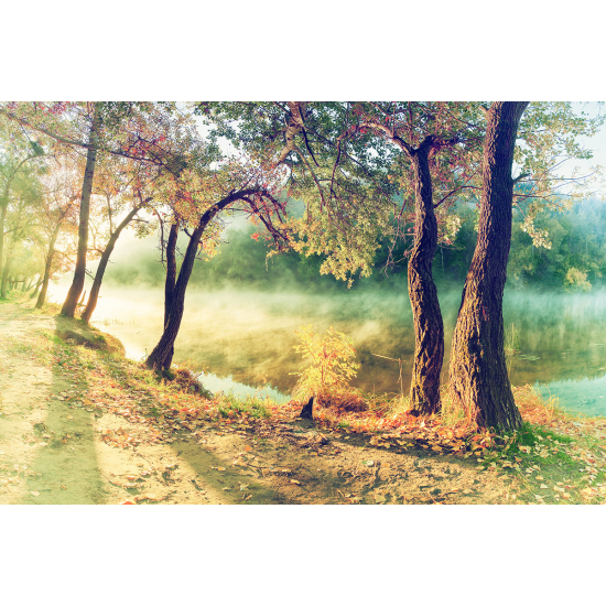 Papier peint panoramique - Arbres et lac