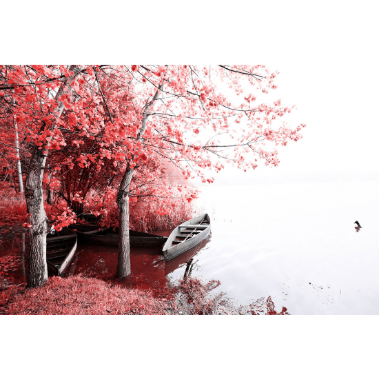 Papier peint panoramique - Bateau Fleurs rouges