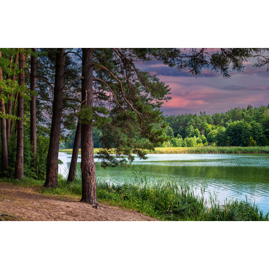 Papier peint panoramique - Bord de lac
