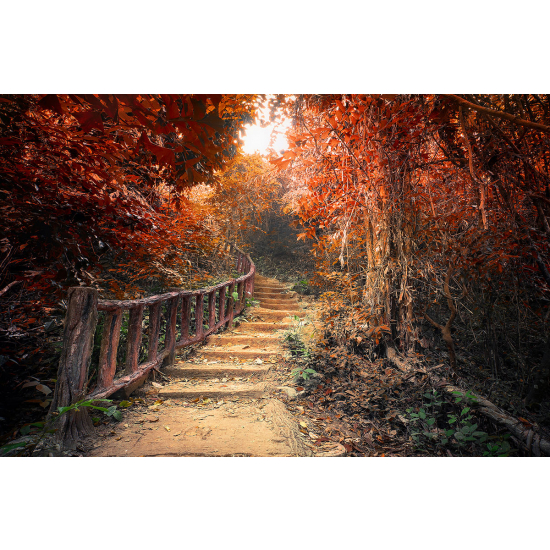 Papier peint panoramique - Chemin Automne