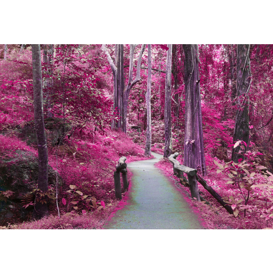 Papier peint panoramique - Chemin Fleurs roses