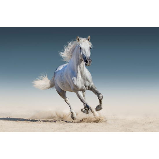 Papier peint panoramique - Cheval