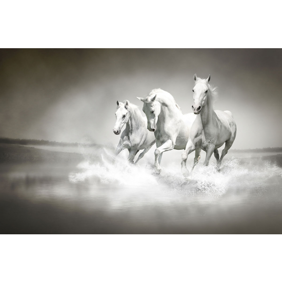 Papier peint panoramique - Chevaux