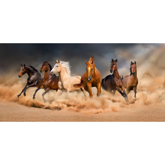 Papier peint panoramique - Chevaux