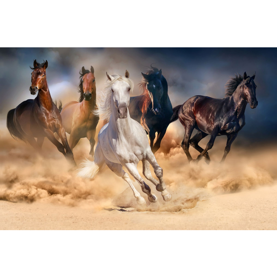 Papier peint panoramique - Chevaux
