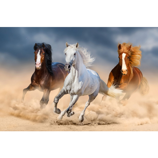 Papier peint panoramique - Chevaux