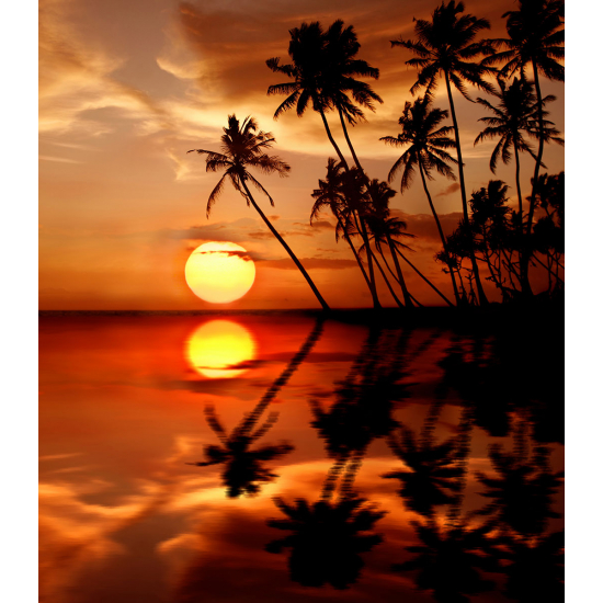 Papier peint panoramique - Couché de soleil