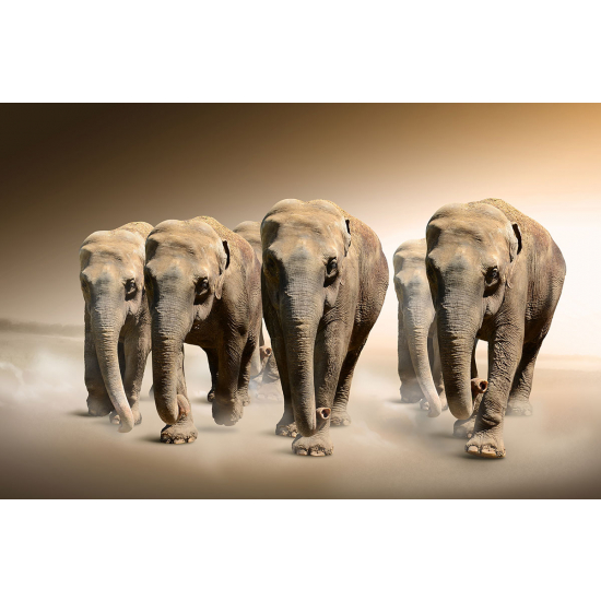 Papier peint panoramique - Éléphants