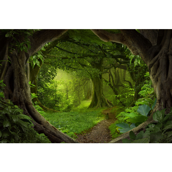 Papier peint panoramique Enfants - Chemin Forêt