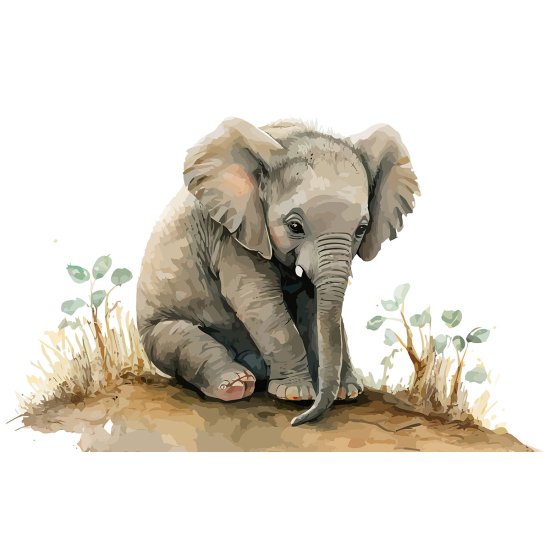 Papier peint panoramique Enfants - Éléphant